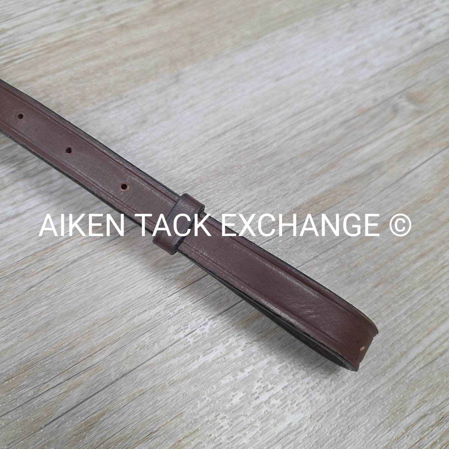 HDR Pro 5 Point Elastic Breastplate, No Running Attachment, Brown, Size Full