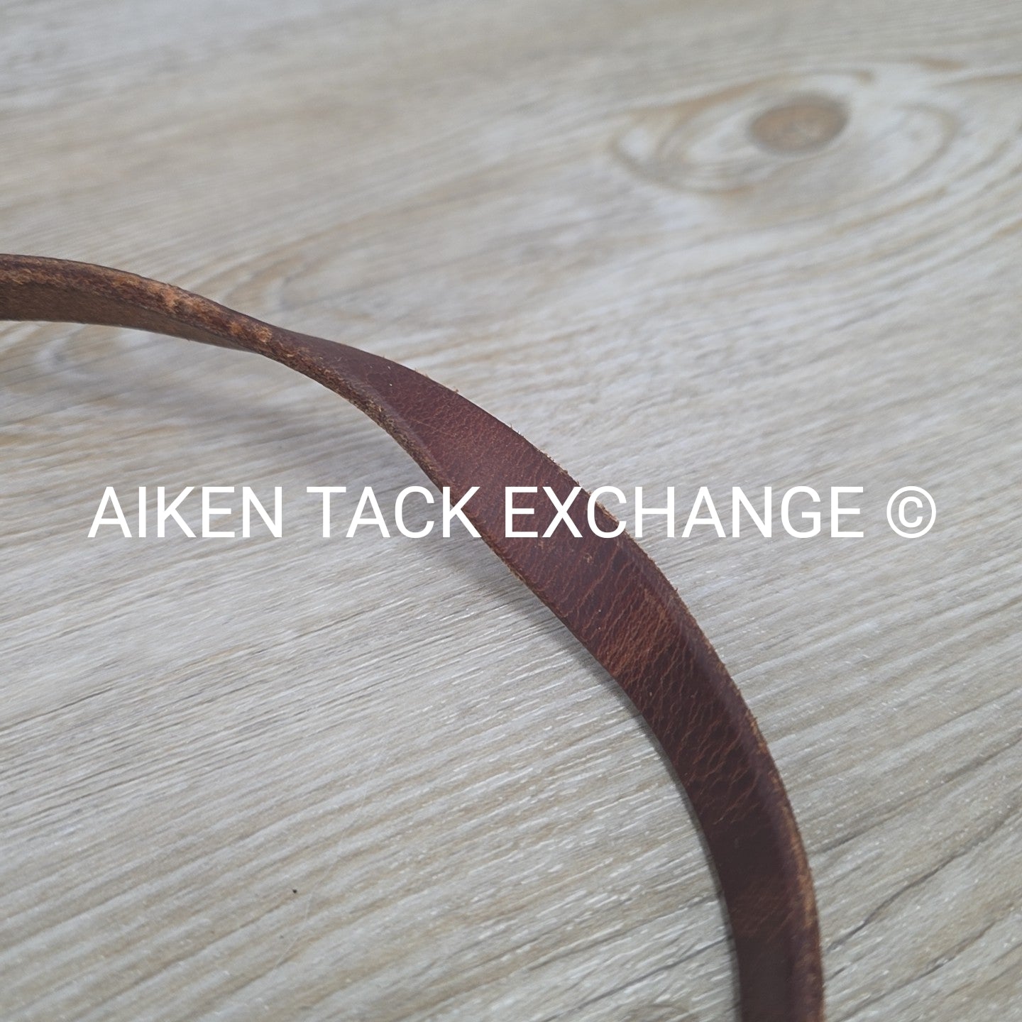 Dutton One Ear Head Stall with Matching Split Reins & Dutton Smooth Broken Port