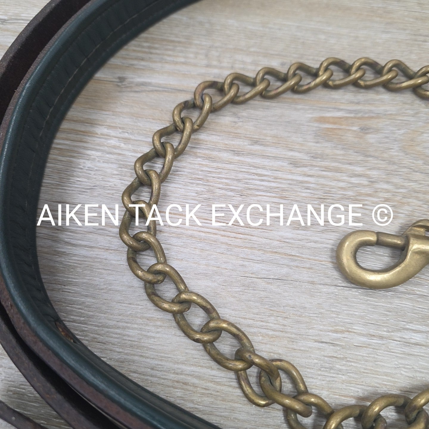 Tory Leather Padded Lead w/ Chain (has nameplate)