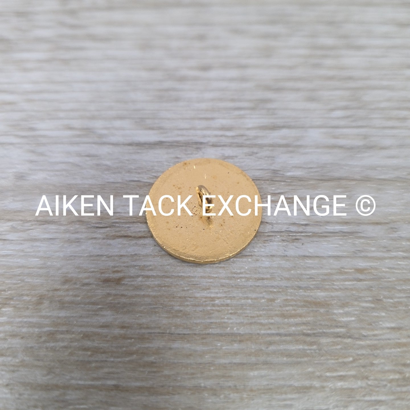 Tryon Hounds Brass Button, Large