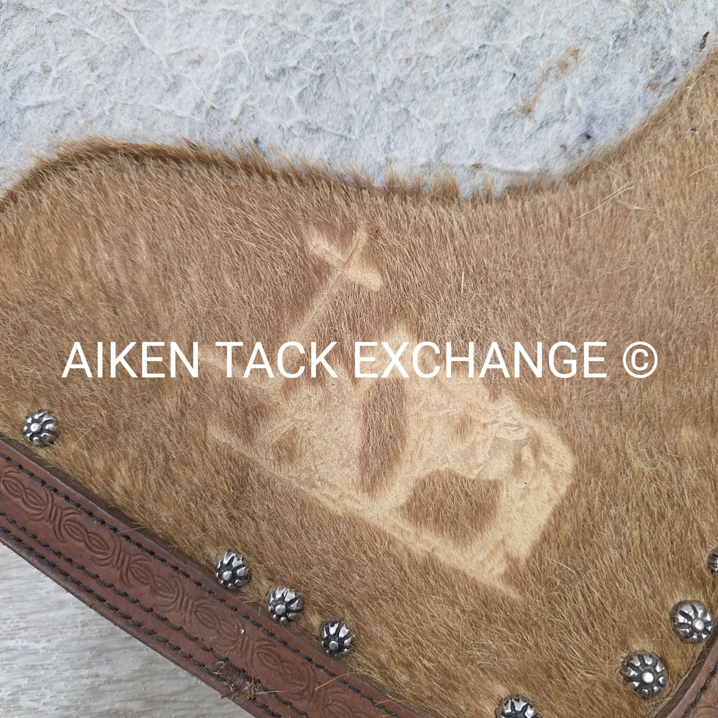 Showman 427 Felt Bottom Saddle Pad with Argentine Cow Hide