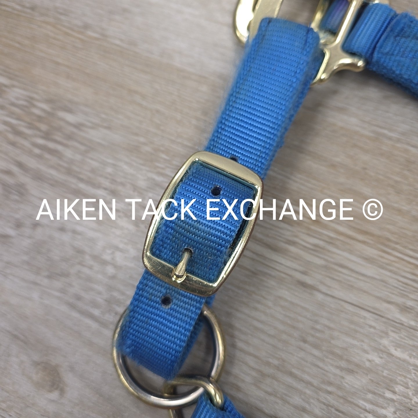 Nylon Breakaway Halter, Size Large