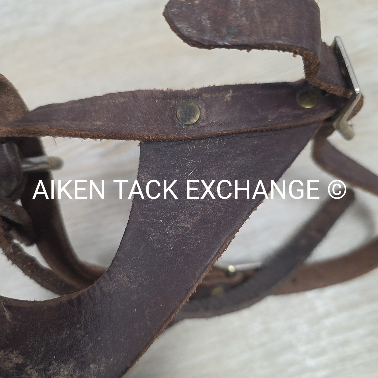 BARGAIN BUNDLE: 2 Leather Foal Halters