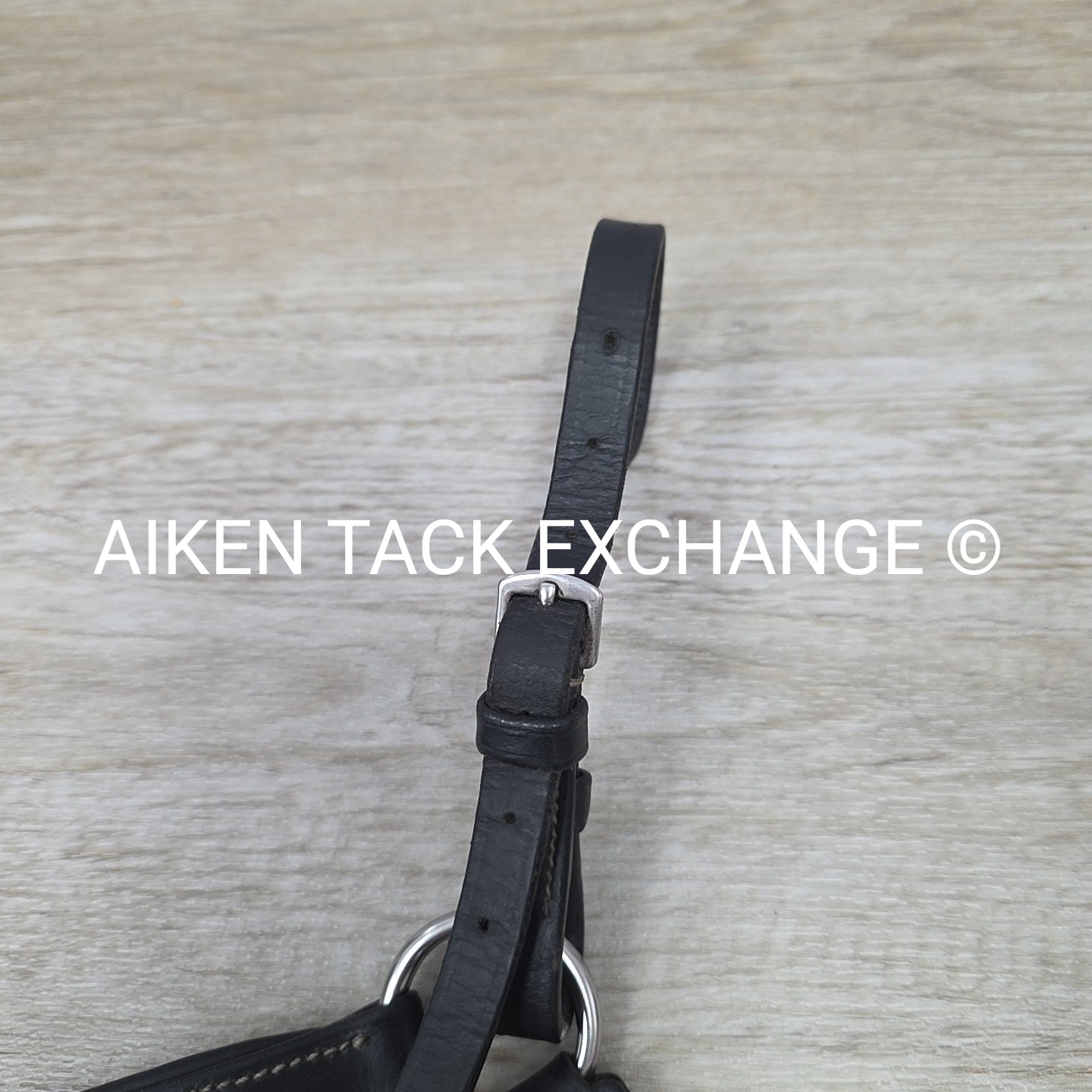 HDR 5 Point Elastic Breastplate, Black, Size Full