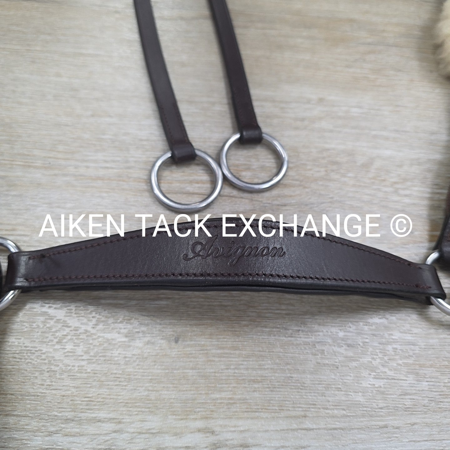 Shires Avignon 5 Point Breastplate, Brown, Oversize