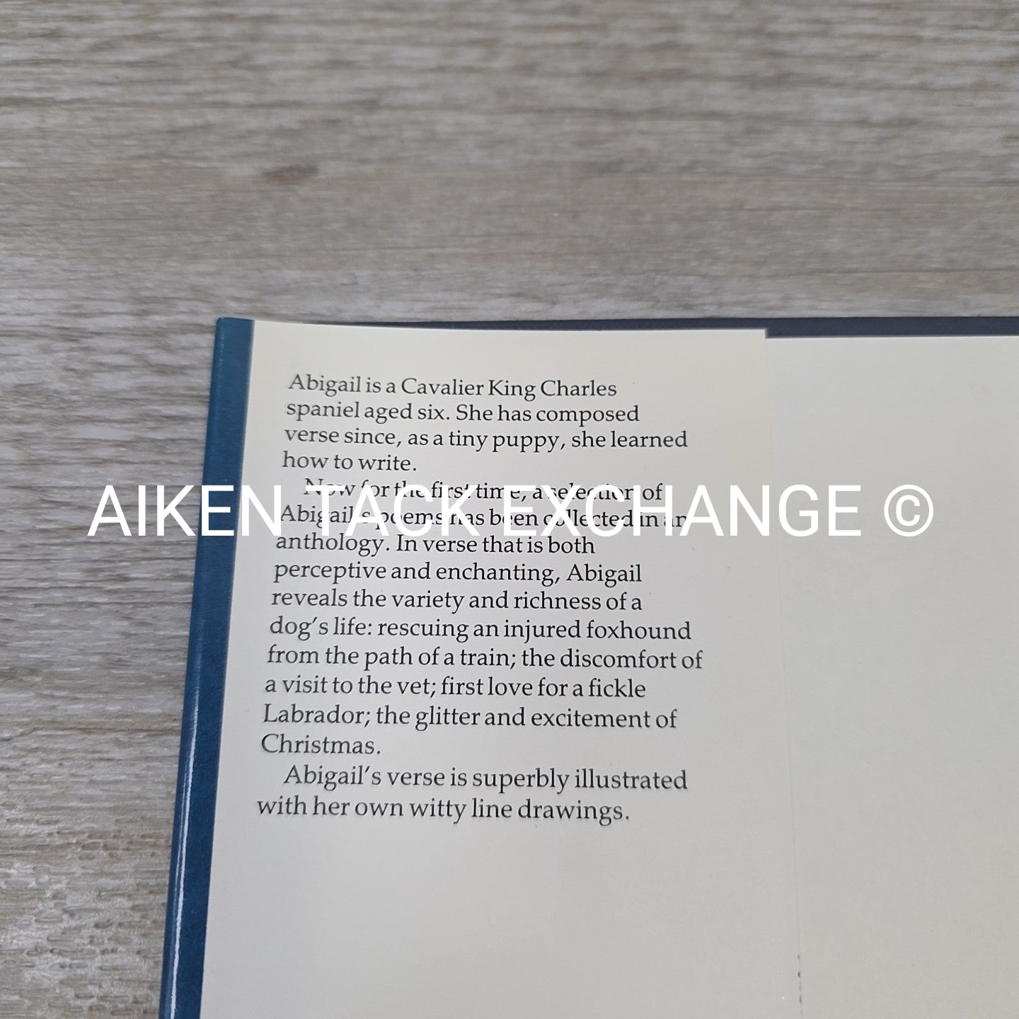 Paws for Thought by Maureen Melvin