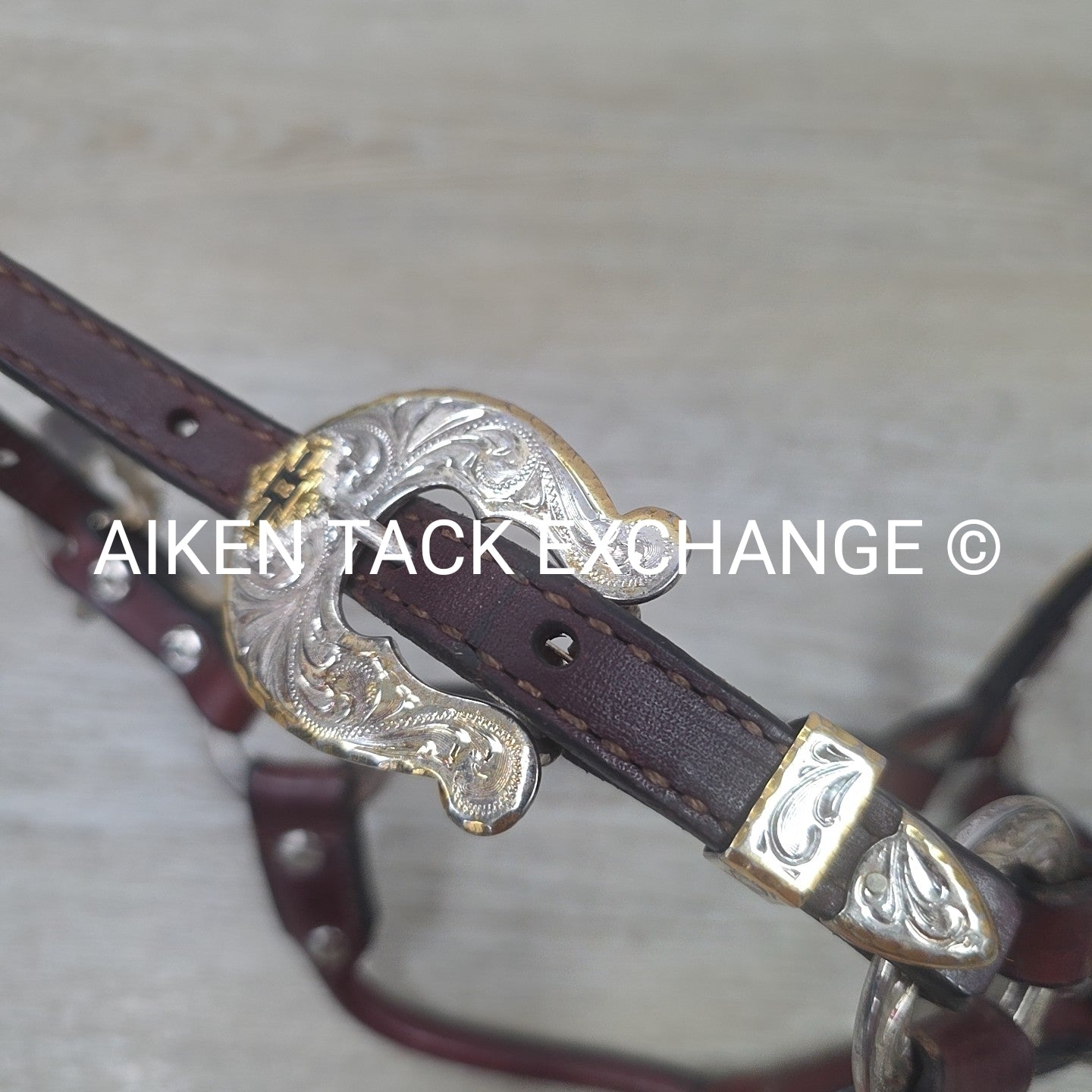 Western Show Halter, Size Foal