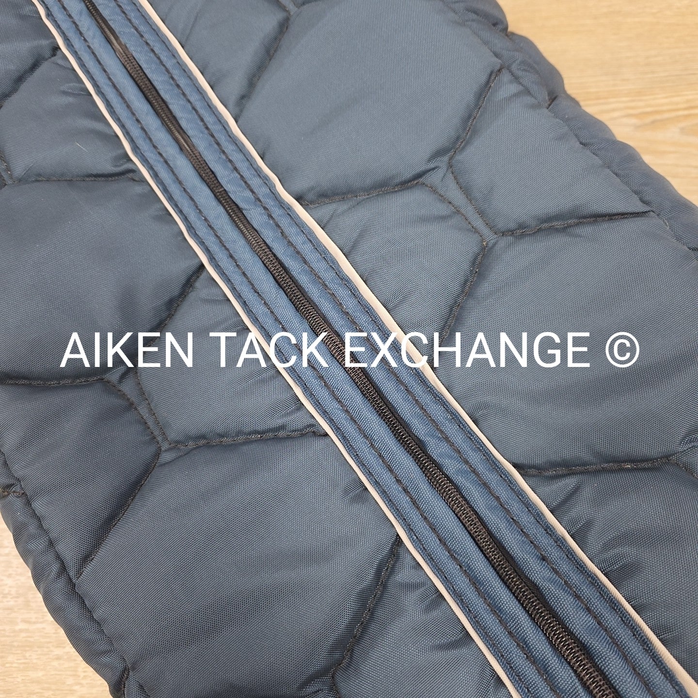 Big D Quilted Halter Bridle Storage Carry Bag