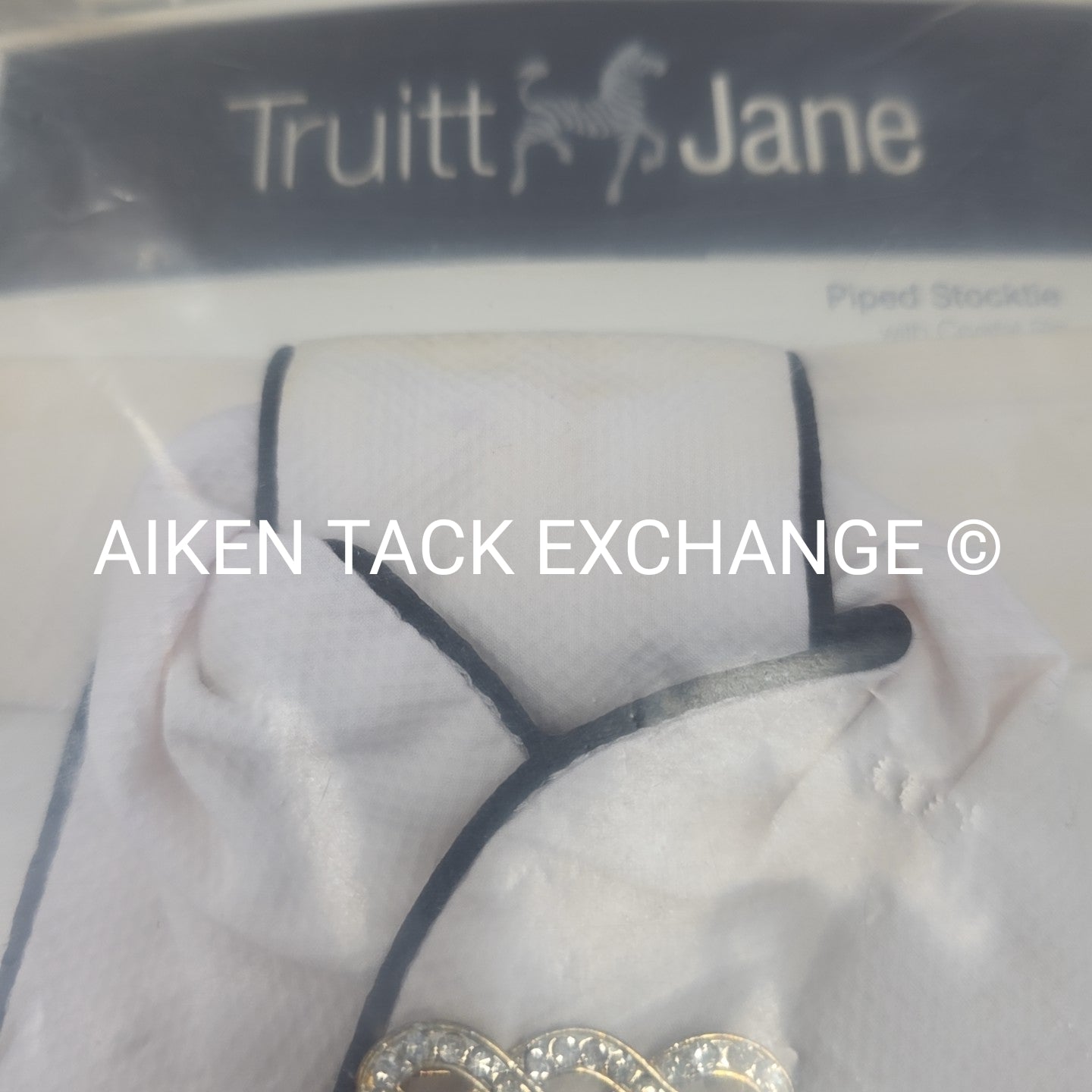 Truitt Jane Piped Stock Tie w/ Crystal Pin, Size Medium