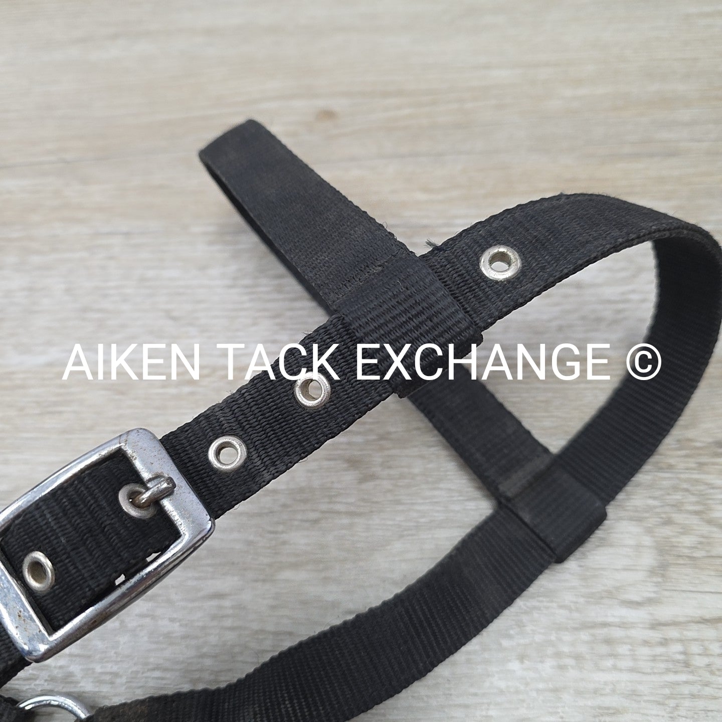 Nylon Lunging Cavesson, Size Full