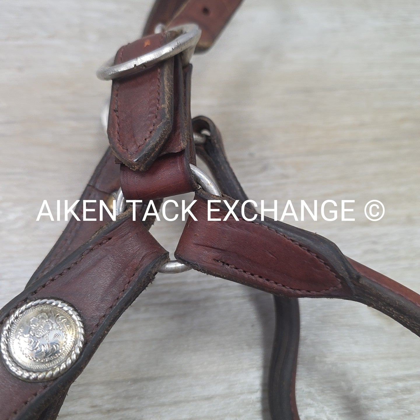 Western Show Halter, Size Full