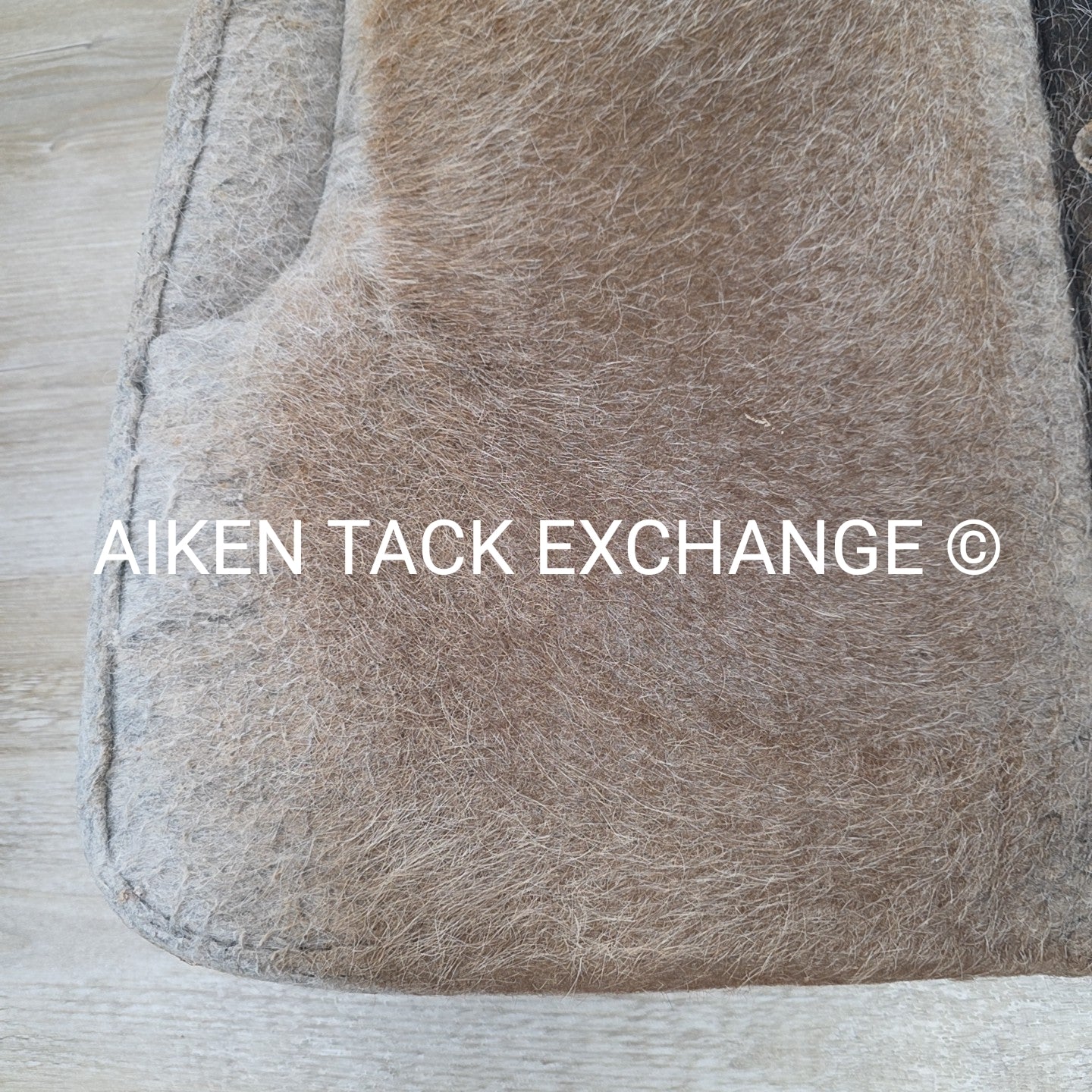 Showman 427 Felt Bottom Saddle Pad with Argentine Cow Hide