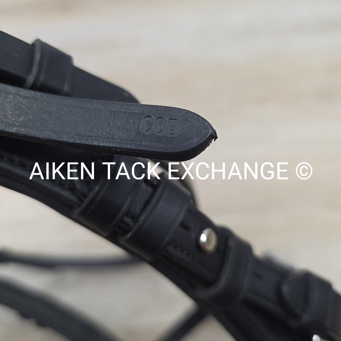 Schockemohle Equitus Beta Anatomical Special Bridle, Black, No Reins, Size Cob