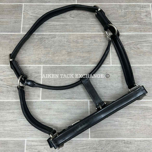 KL Select Red Barn Padded Leather Halter, Black/Nickel, Size Full