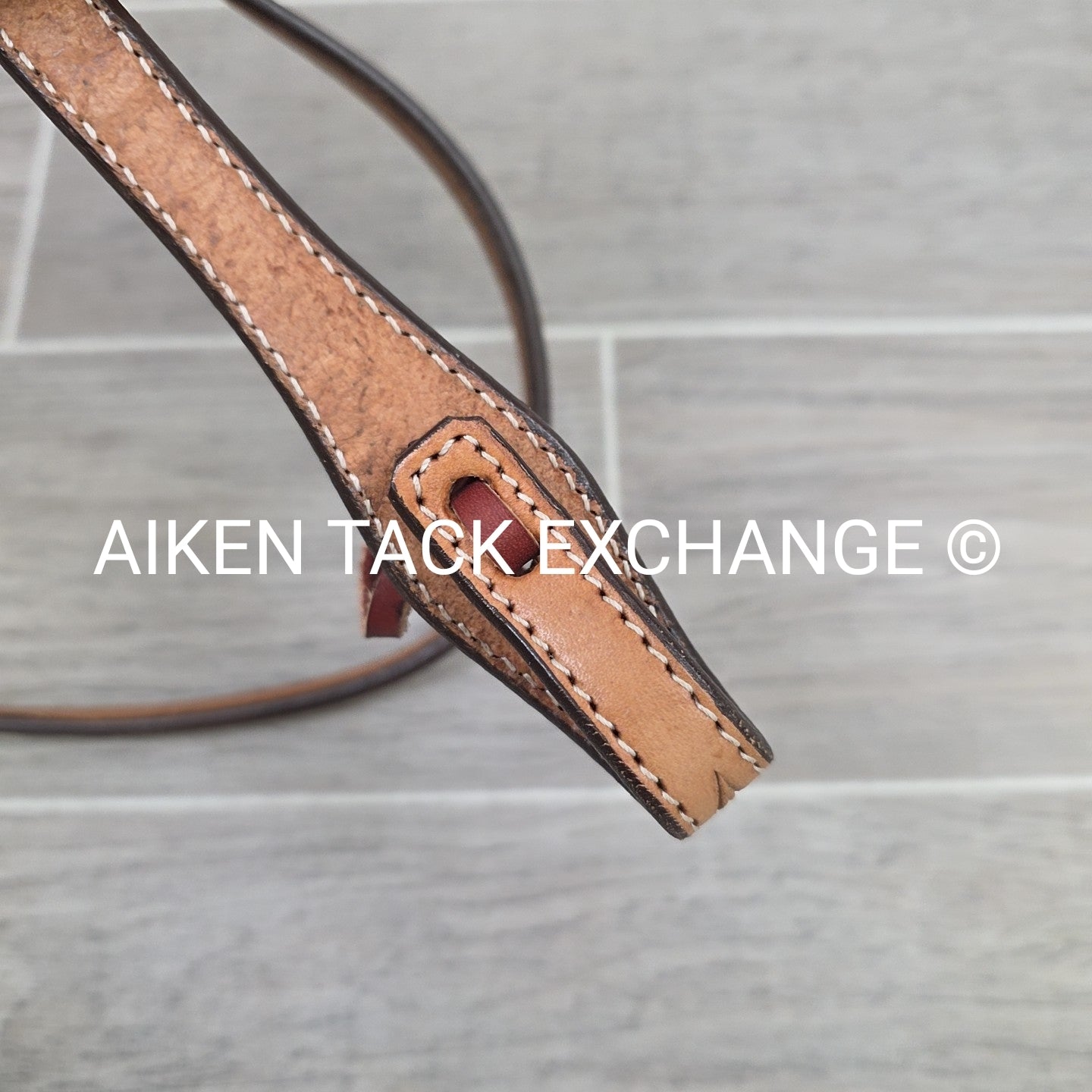 Showman Browband Headstall, No Reins