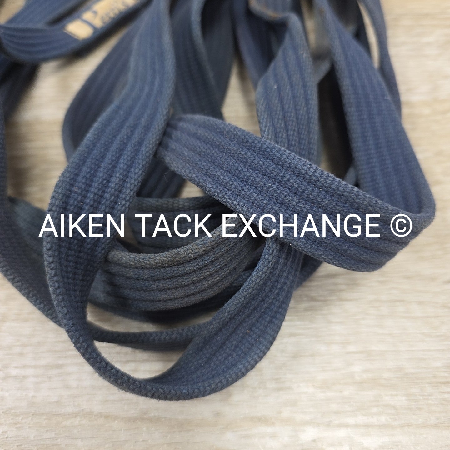 BARGAIN BUNDLE: Cotton Web Lunge Line with Chain & Leather Lead with Chain