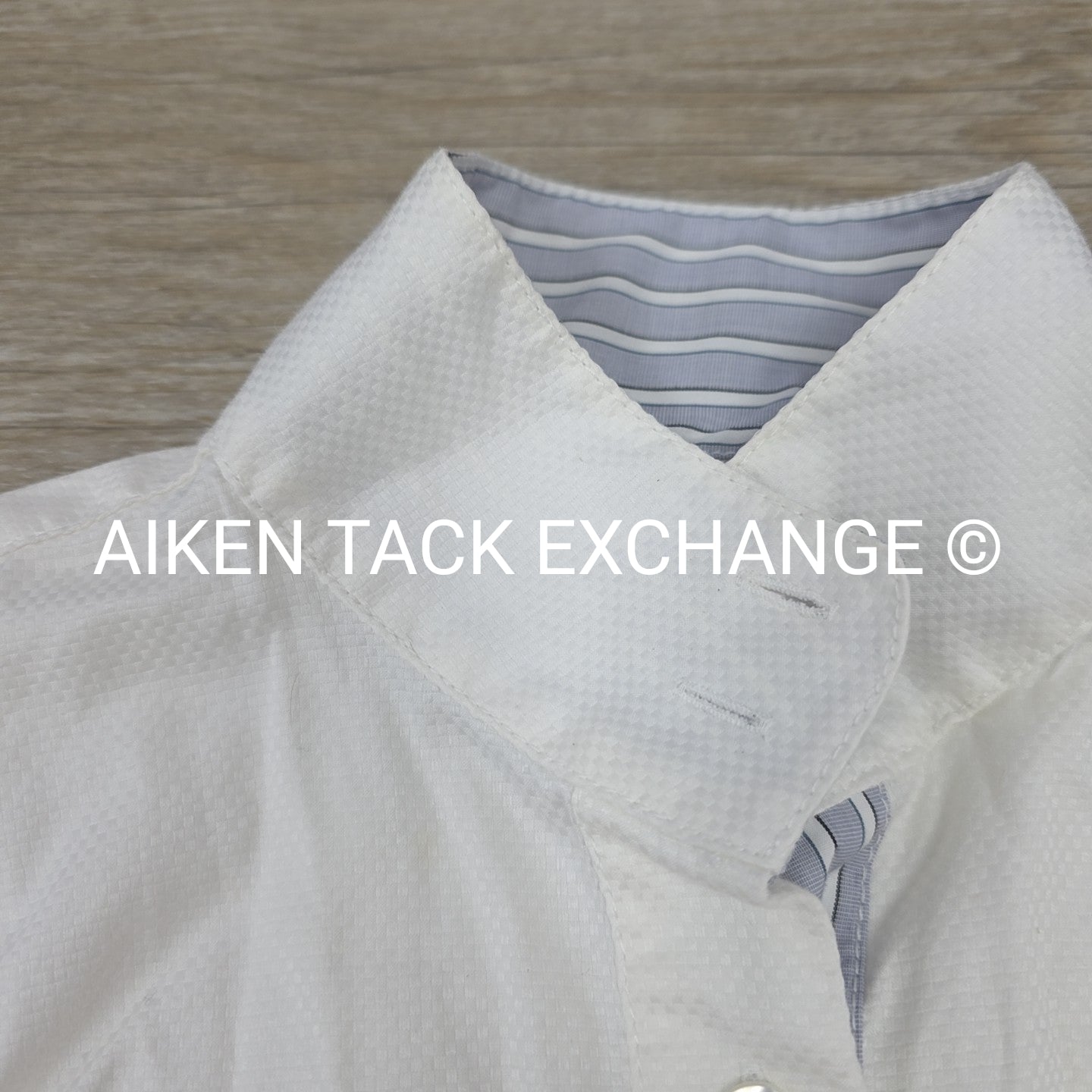 Allon Equestrian Show Shirt, Women's 34
