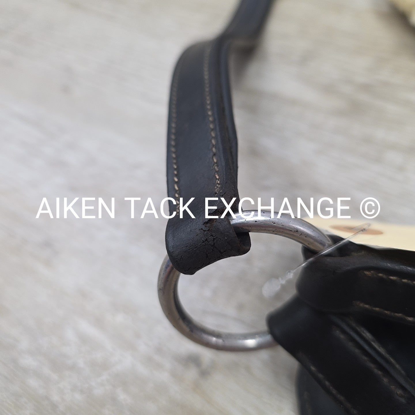 HDR 5 Point Elastic Breastplate, Black, Size Full