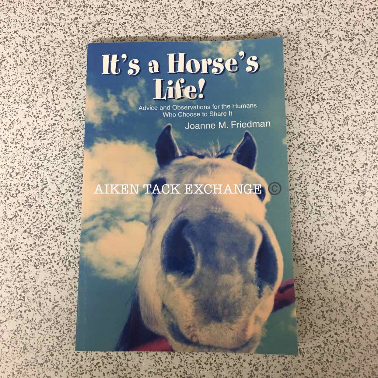 It's a Horse's Life! by Joanne M. Friedman