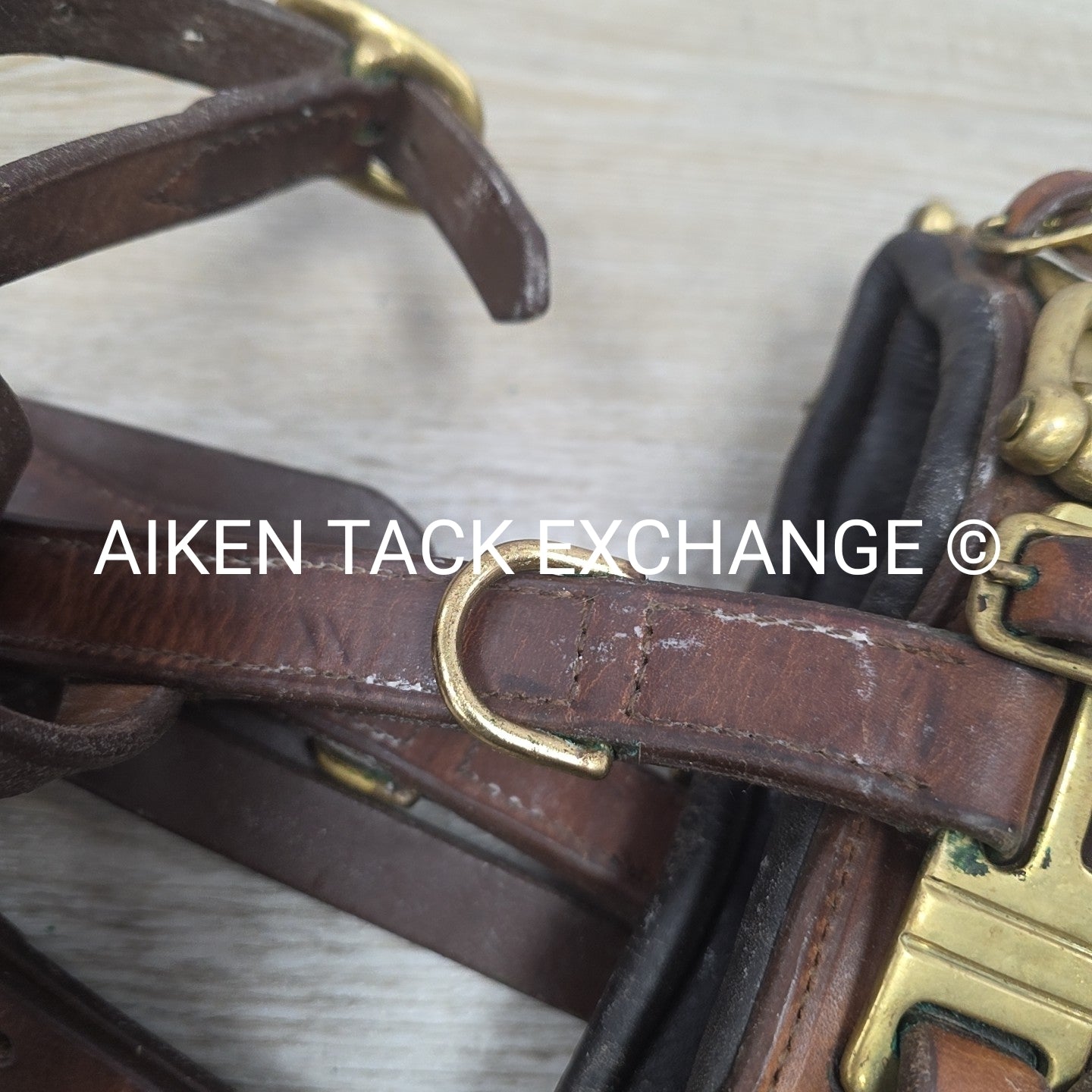 Leather Lunging Cavesson