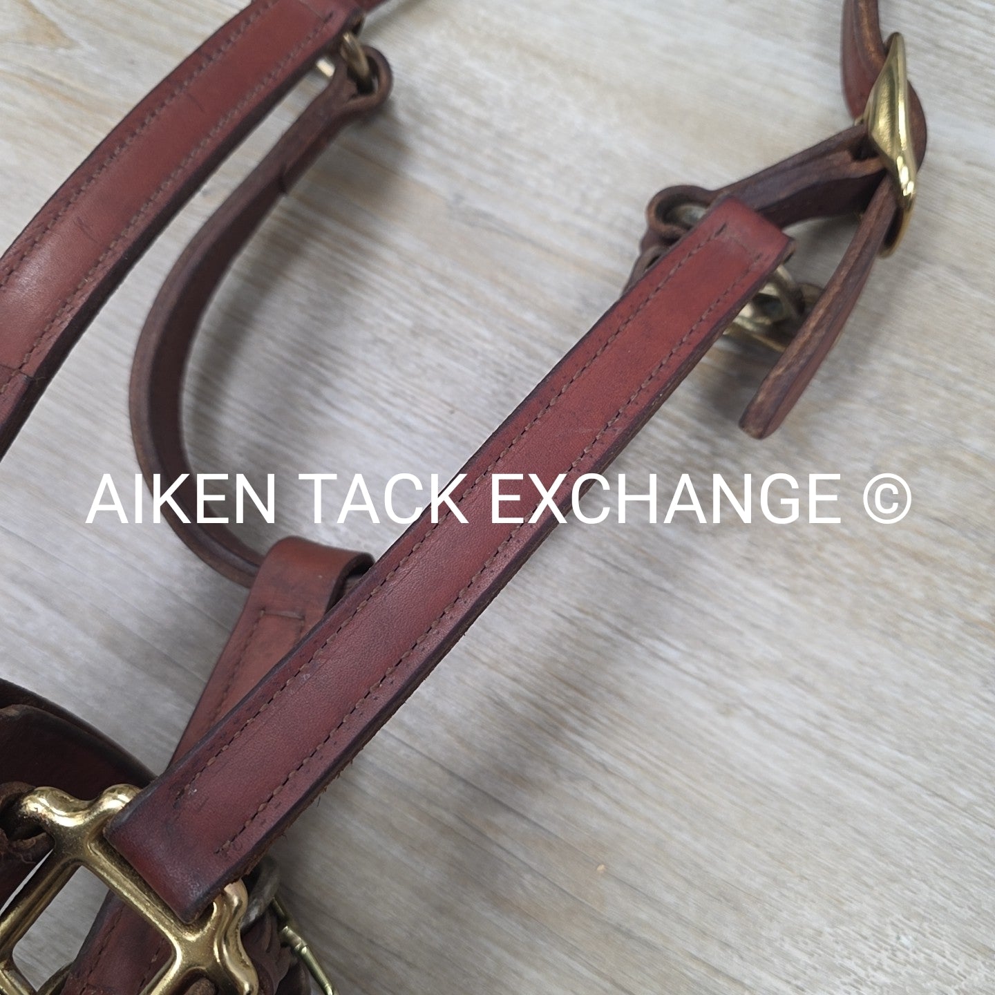 BARGAIN BUNDLE: Perri's Leather Halter with Leather Lead Chain