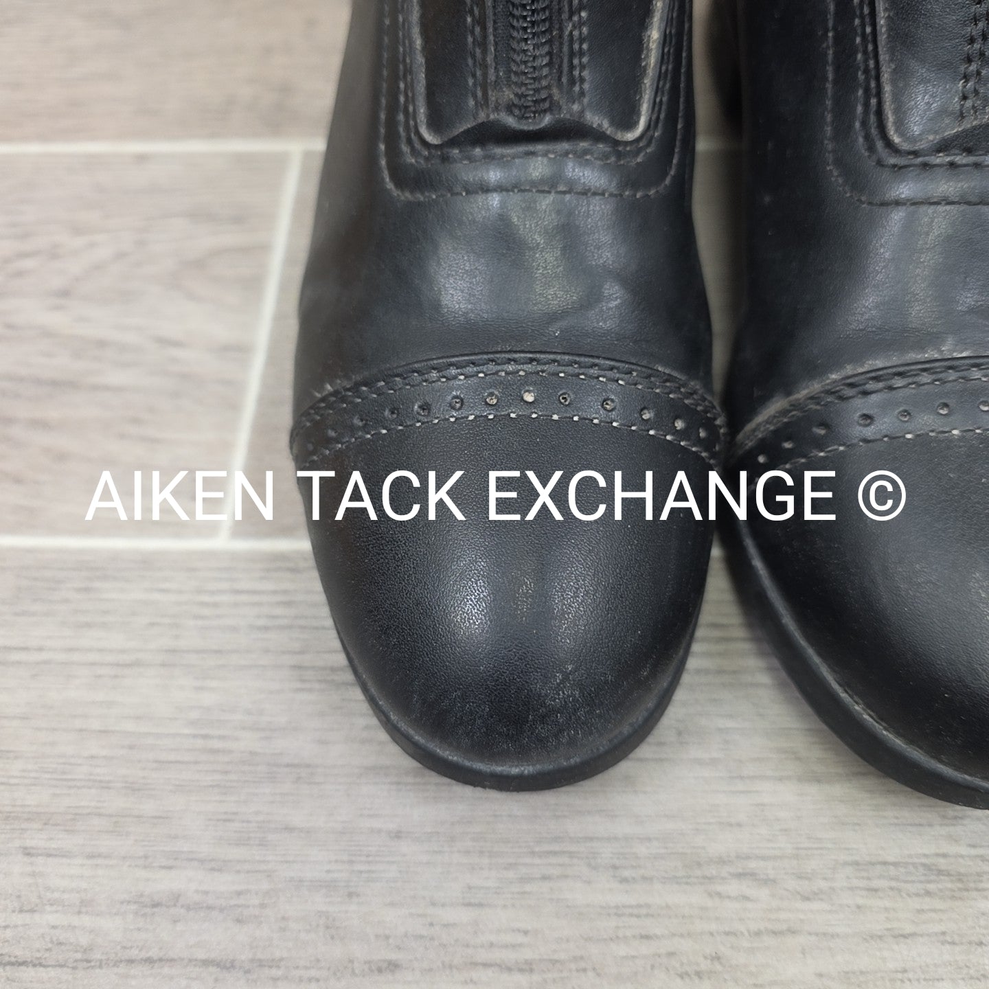 Saxon Syntovia Zip Paddock Boots, Size 5