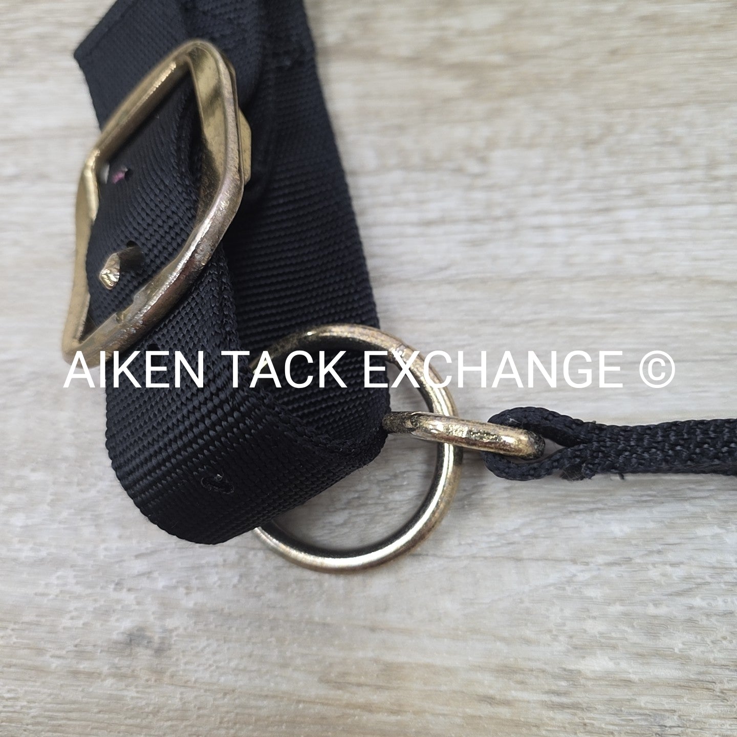 Weaver Leather Halter, Draft