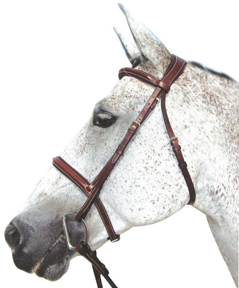 Henri de Rivel Pro Mono Crown Padded Bridle: Black / Cob