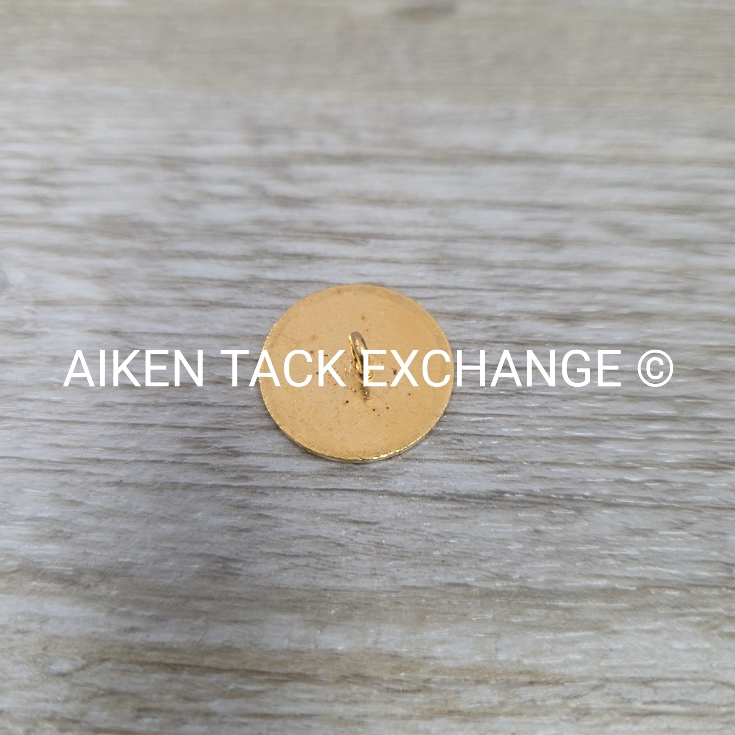 Tryon Hounds Brass Button, Large