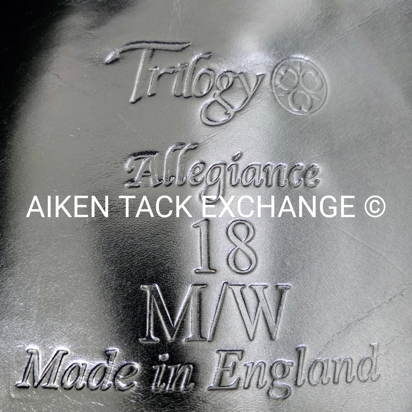 2019 Trilogy Allegiance Monoflap Dressage Saddle, 18" Seat, Medium Wide Tree, Wool Flocked Panels