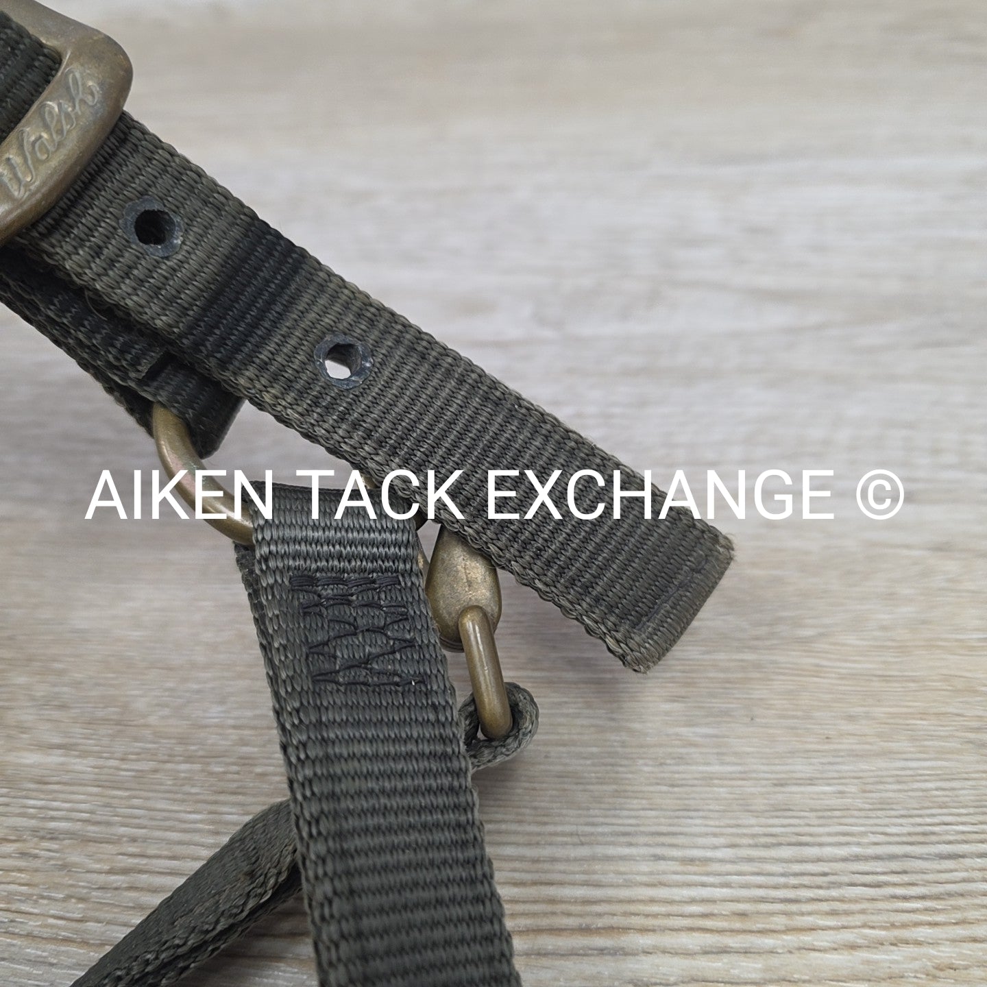 Walsh Nylon Halter, Size Cob