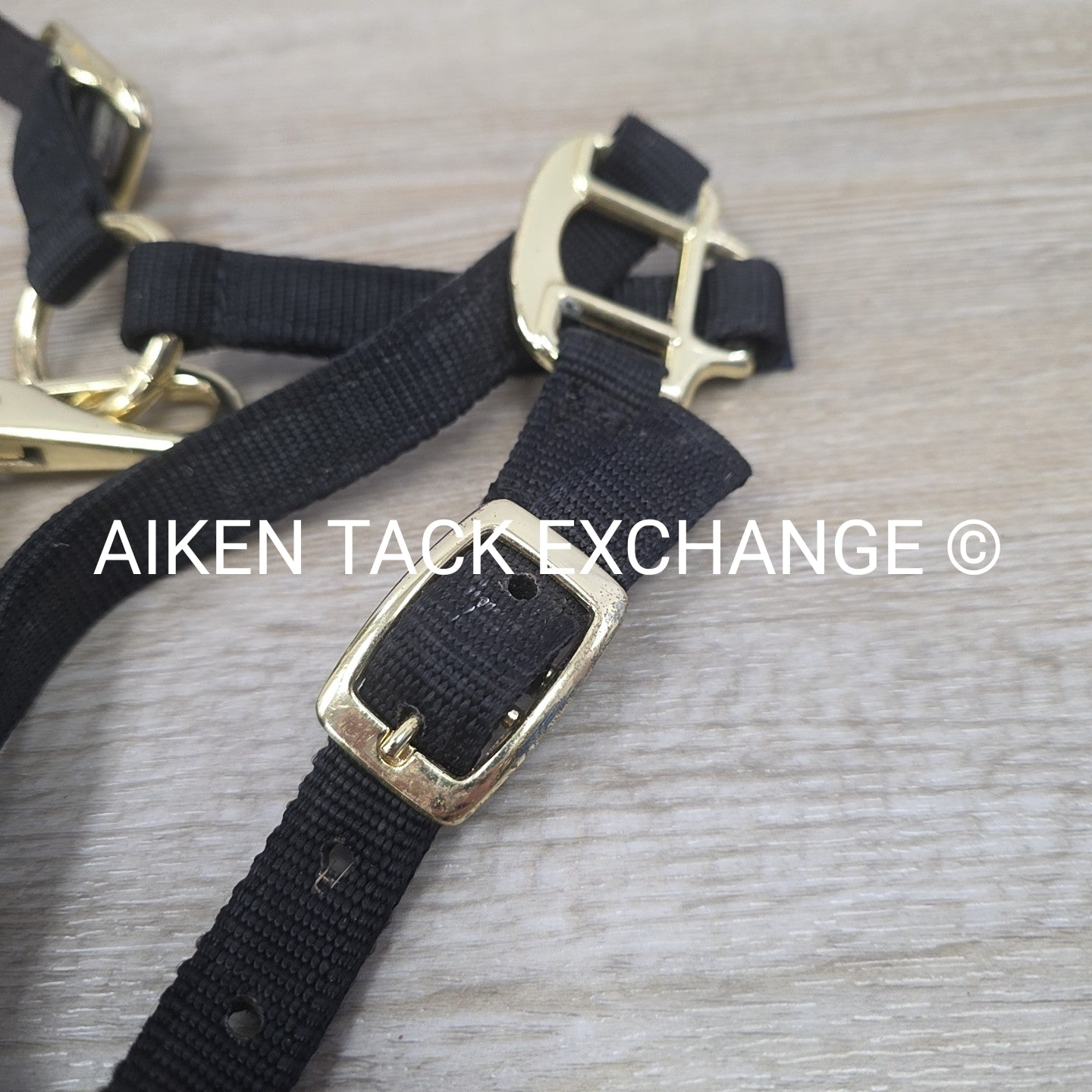 BARGAIN BUNDLE: 2 Nylon Breakaway Halters, Size Weanling / Pony