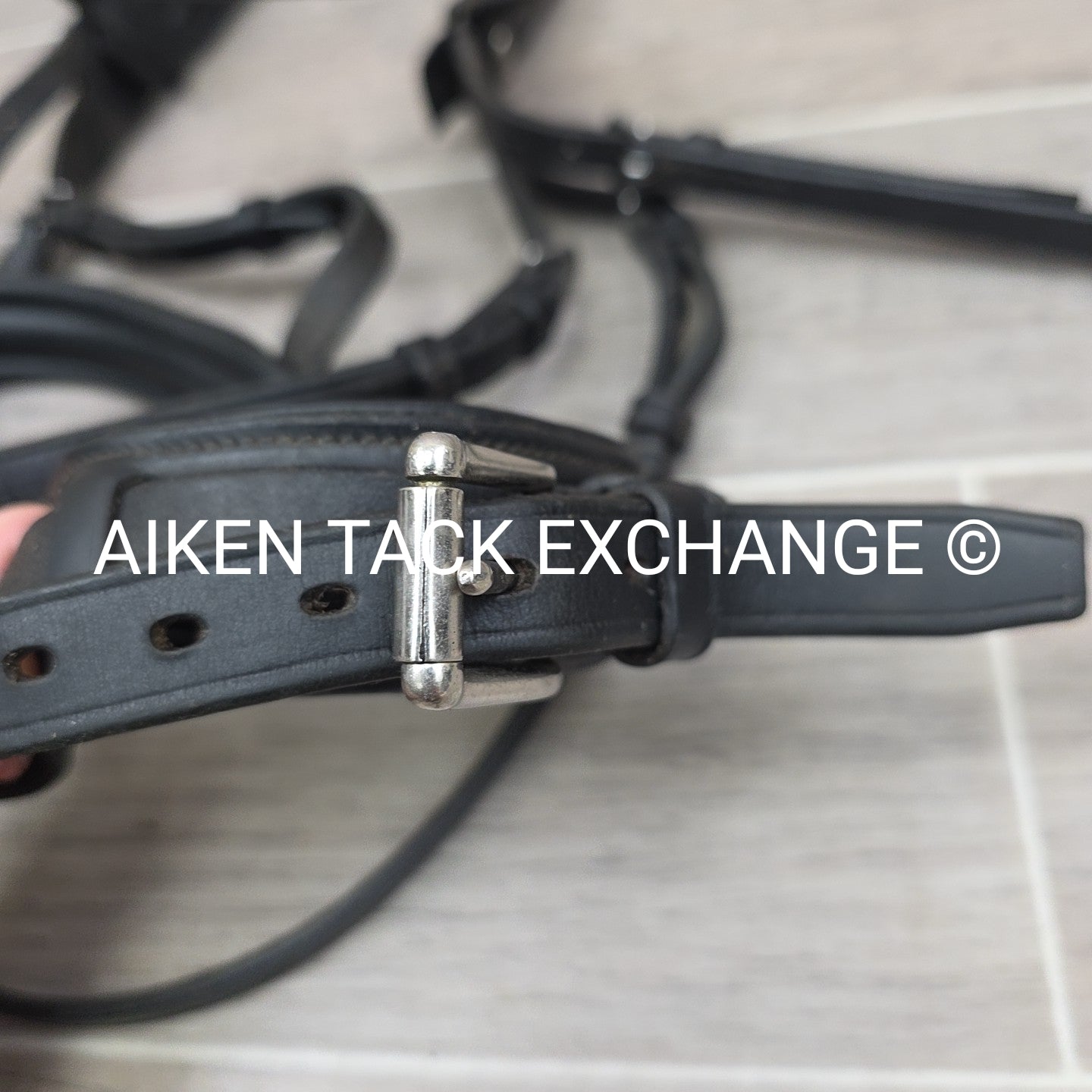 Passier & Sohn Fortuna Bridle, No Reins, Missing Flash Strap, Black, Size Full