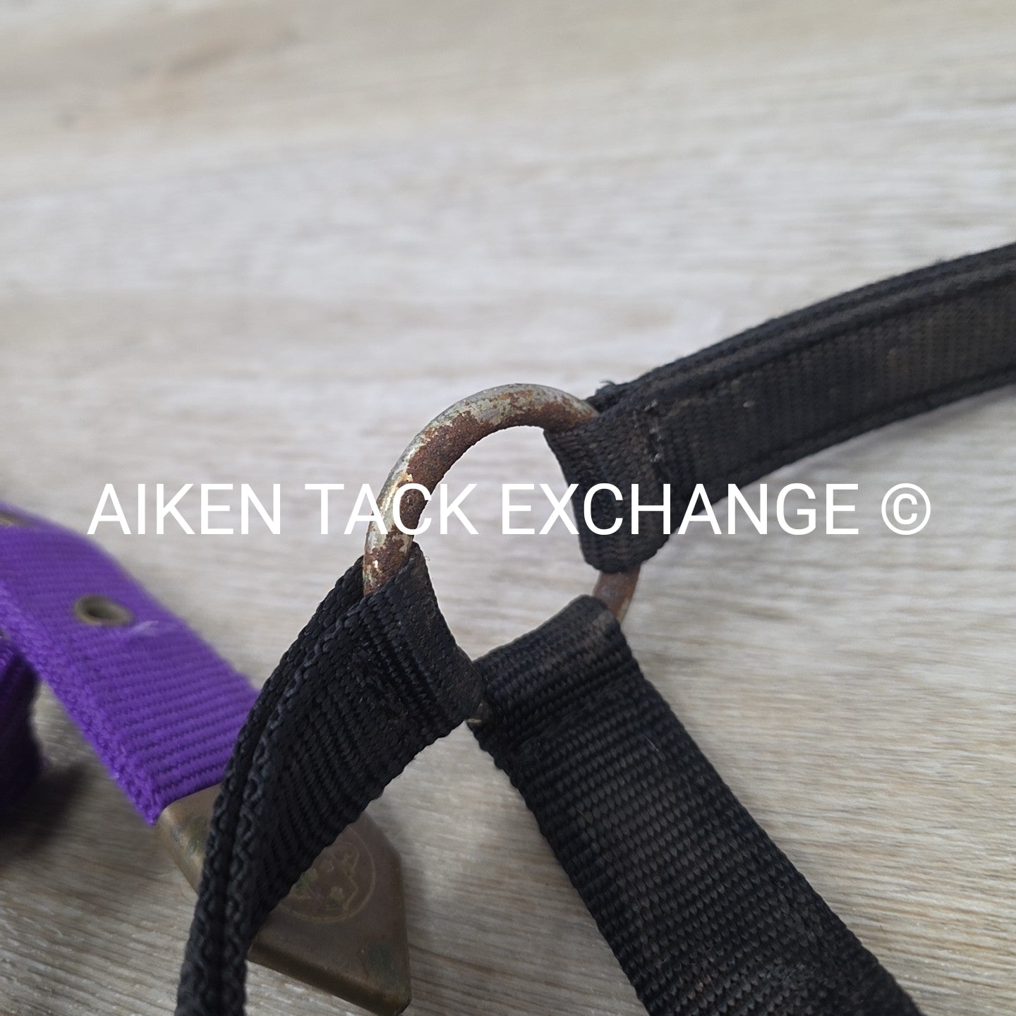 BARGAIN BUNDLE: 2 Nylon Halters, Size Full