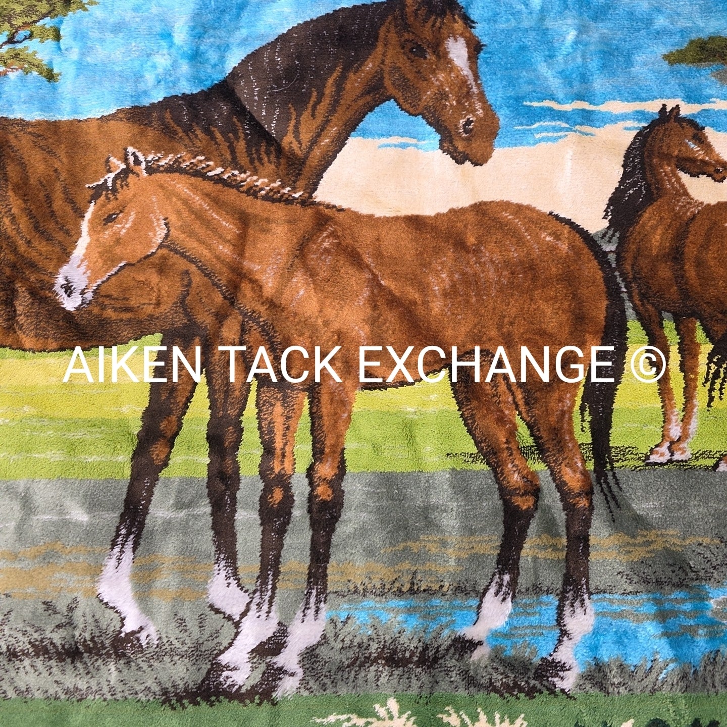 Vintage P & C Woven Velvet Tapestry w/ Horse Scene