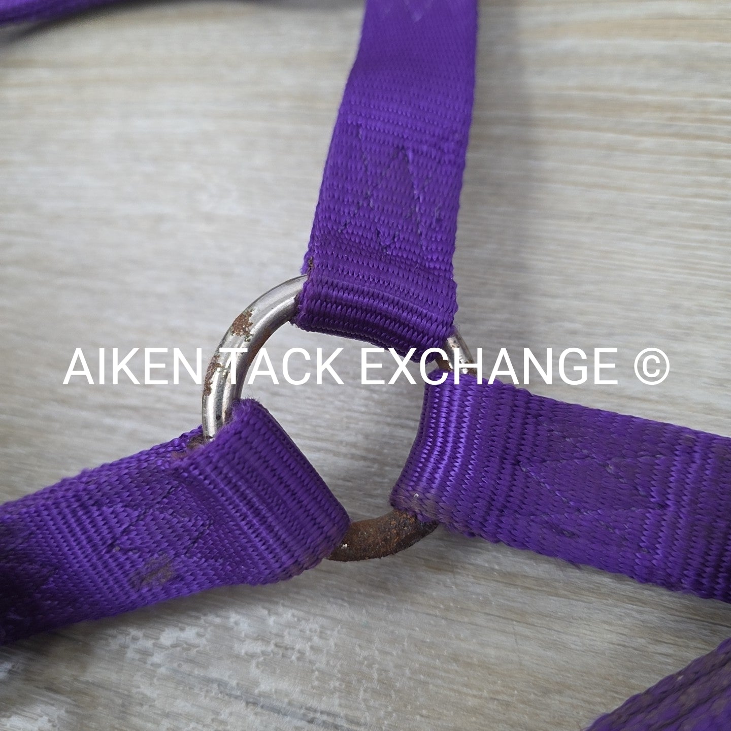 BARGAIN BUNDLE: 2 Nylon Halters, Size Full