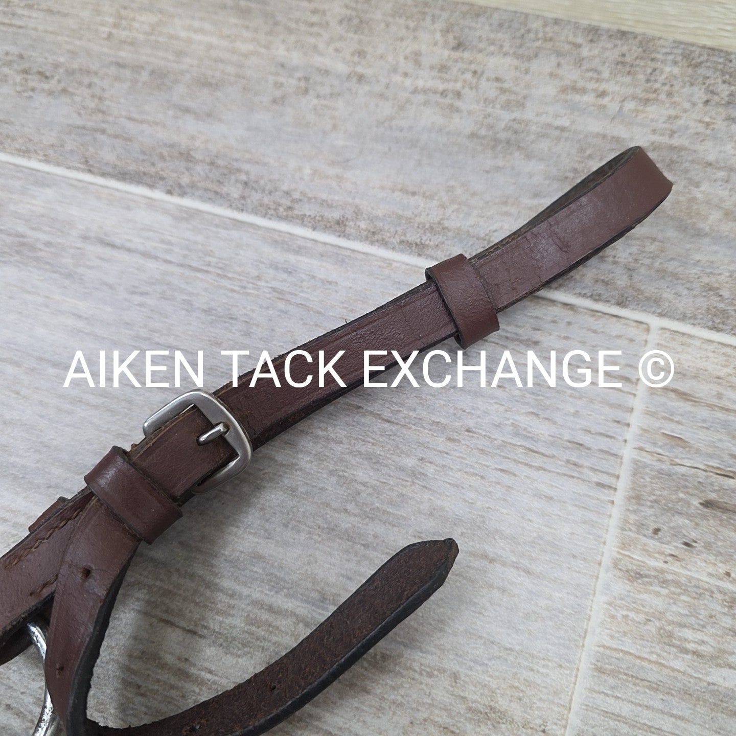 5 Point Breastplate with Running Martingale Attachment, Brown, Size Full