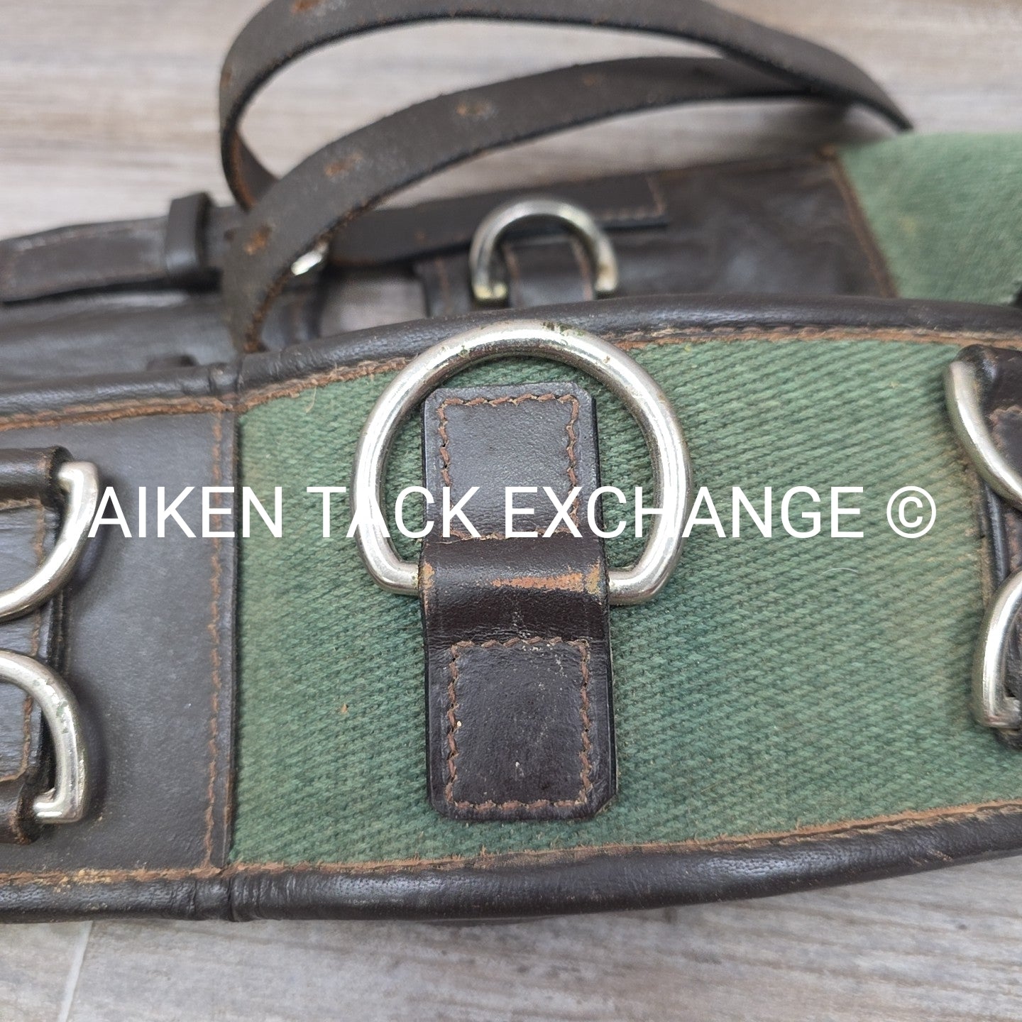 Dover Saddlery Classic Web Lunging Surcingle