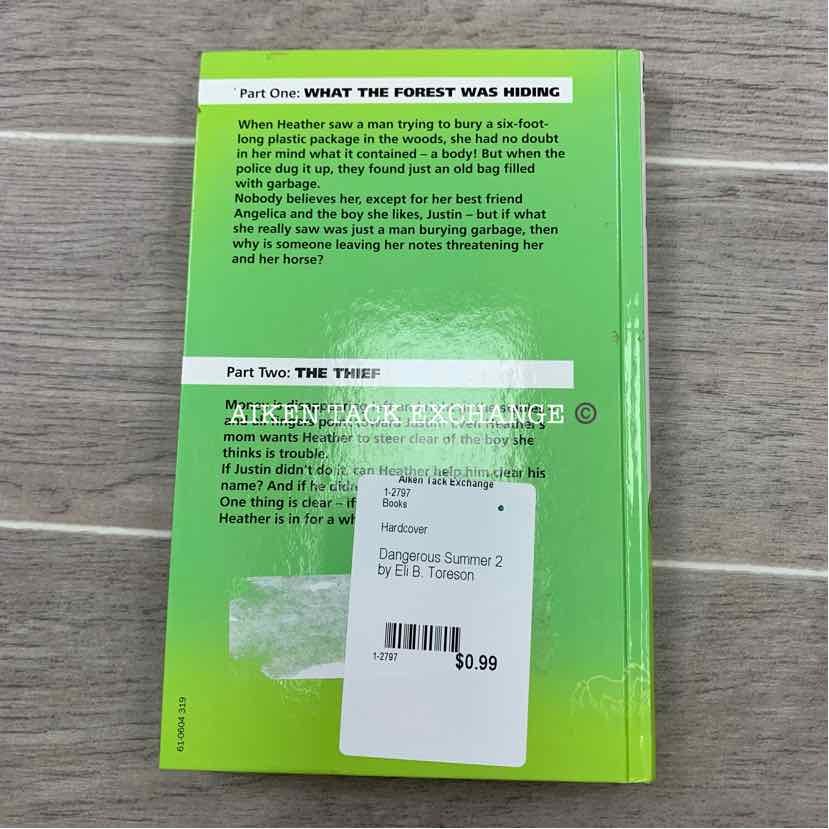 Dangerous Summer 2 by Eli B. Toreson