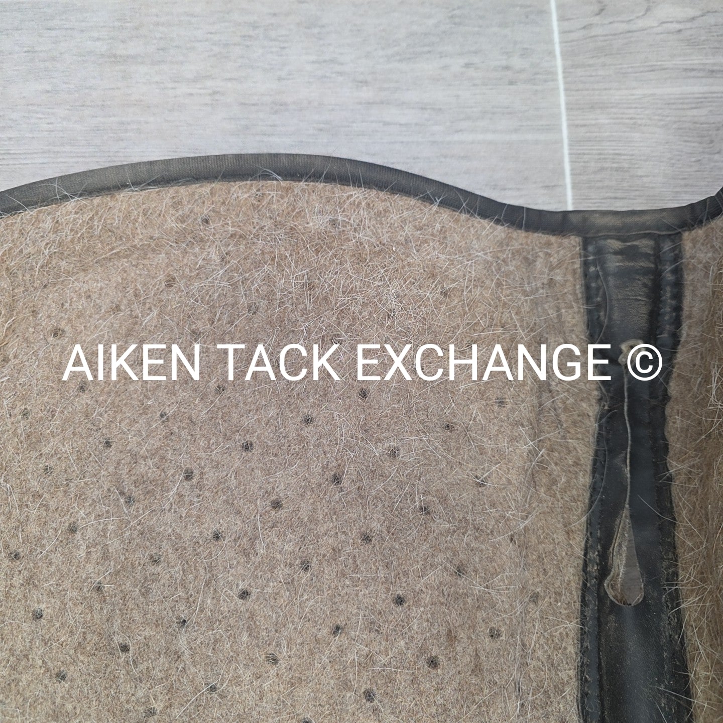 Tucker by Cavallo Saddle Pad