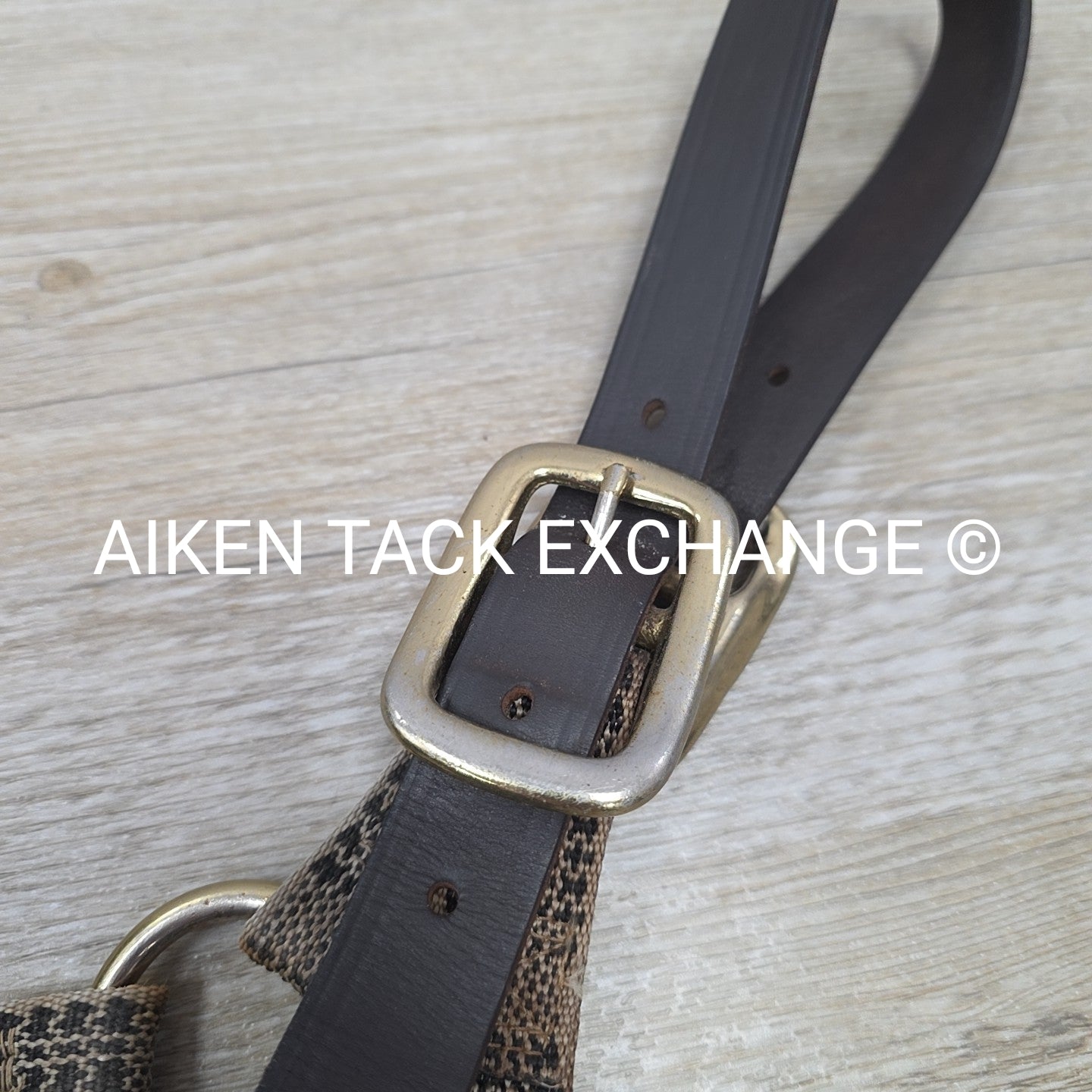 BARGAIN BUNDLE: 5/A Baker Halter & Lead with Chain, Size Pony