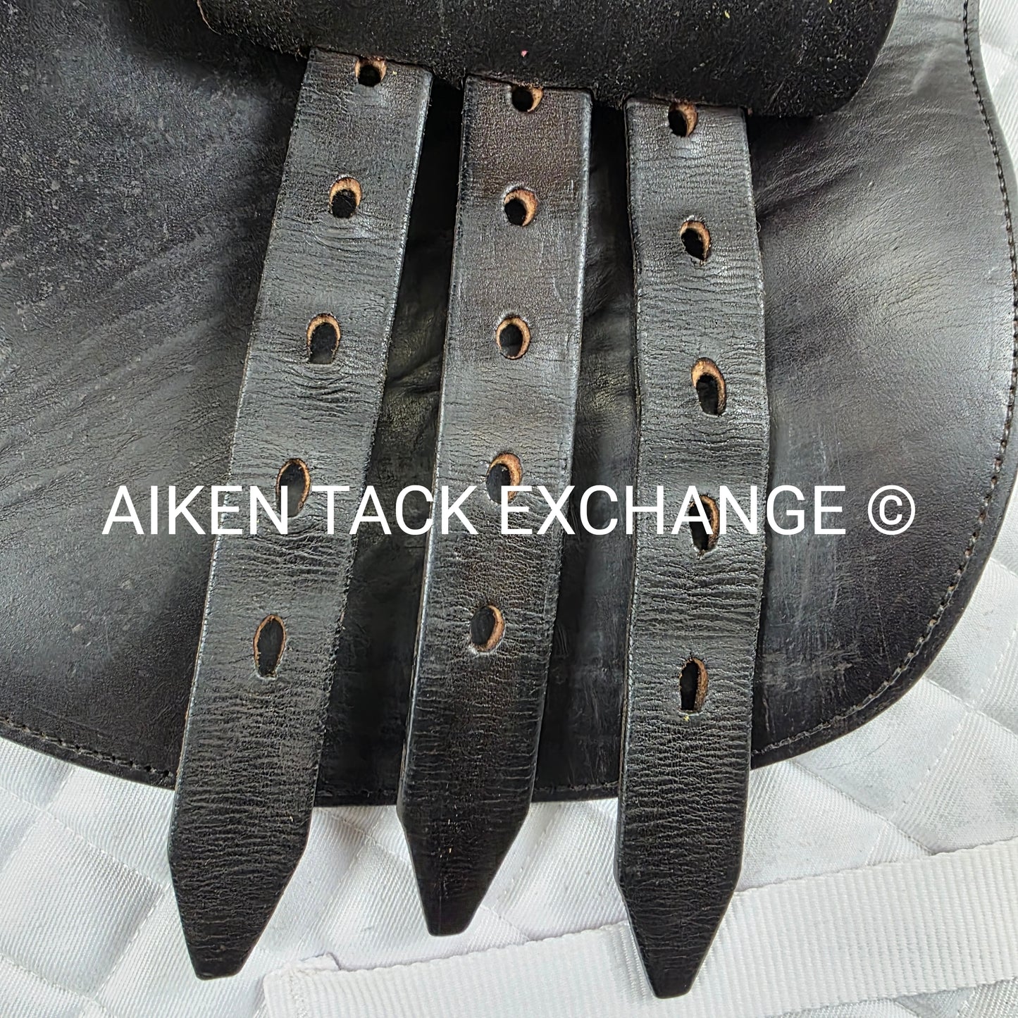 **SOLD** 2002 Schleese Leslie Jump Saddle, 17.5" Seat, Medium Wide Tree, Wool Flocked Panels