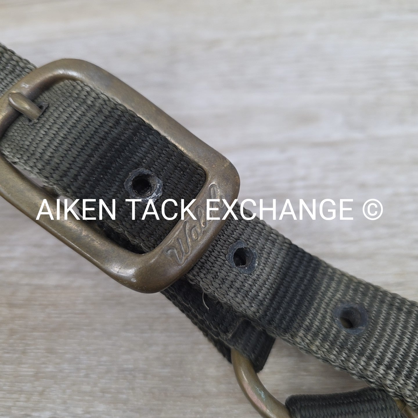 Walsh Nylon Halter, Size Cob