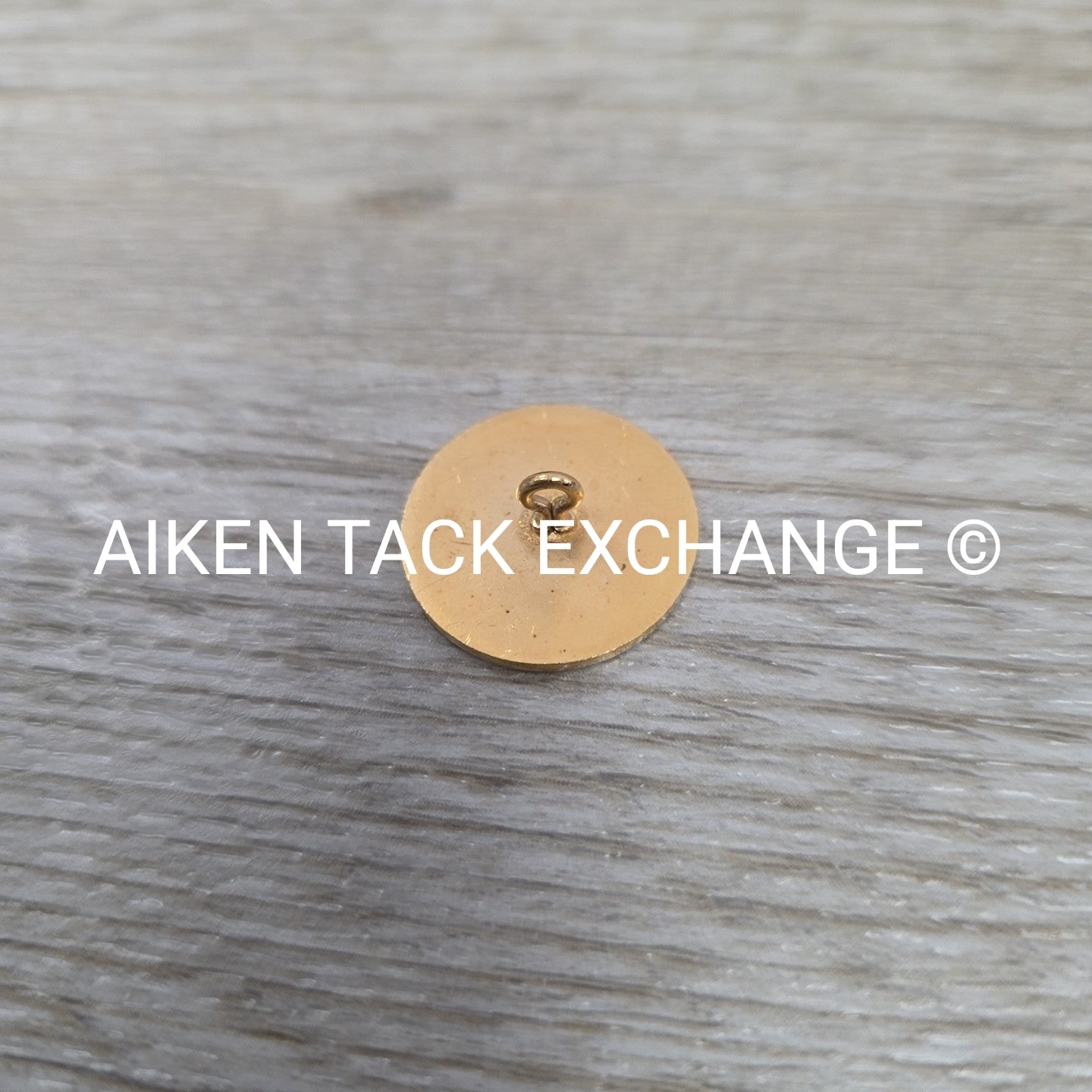 Tryon Hounds Brass Button, Large