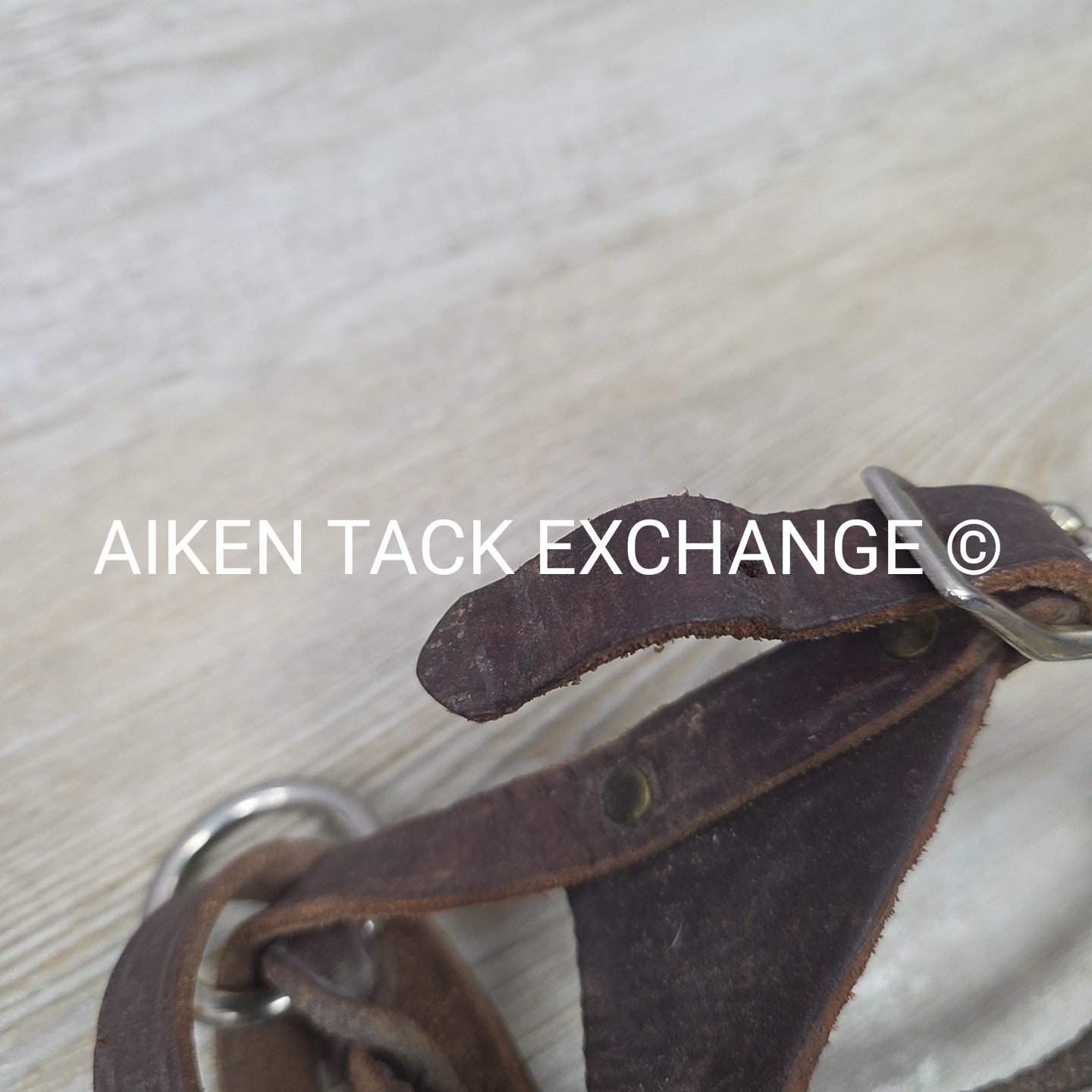 BARGAIN BUNDLE: 2 Leather Foal Halters