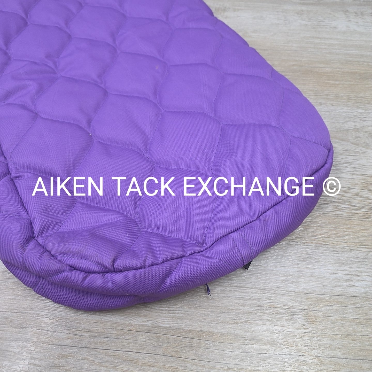 Padded Bridle Bag
