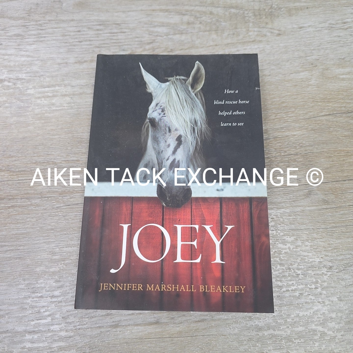 Joey by Jennifer Marshall Bleakley