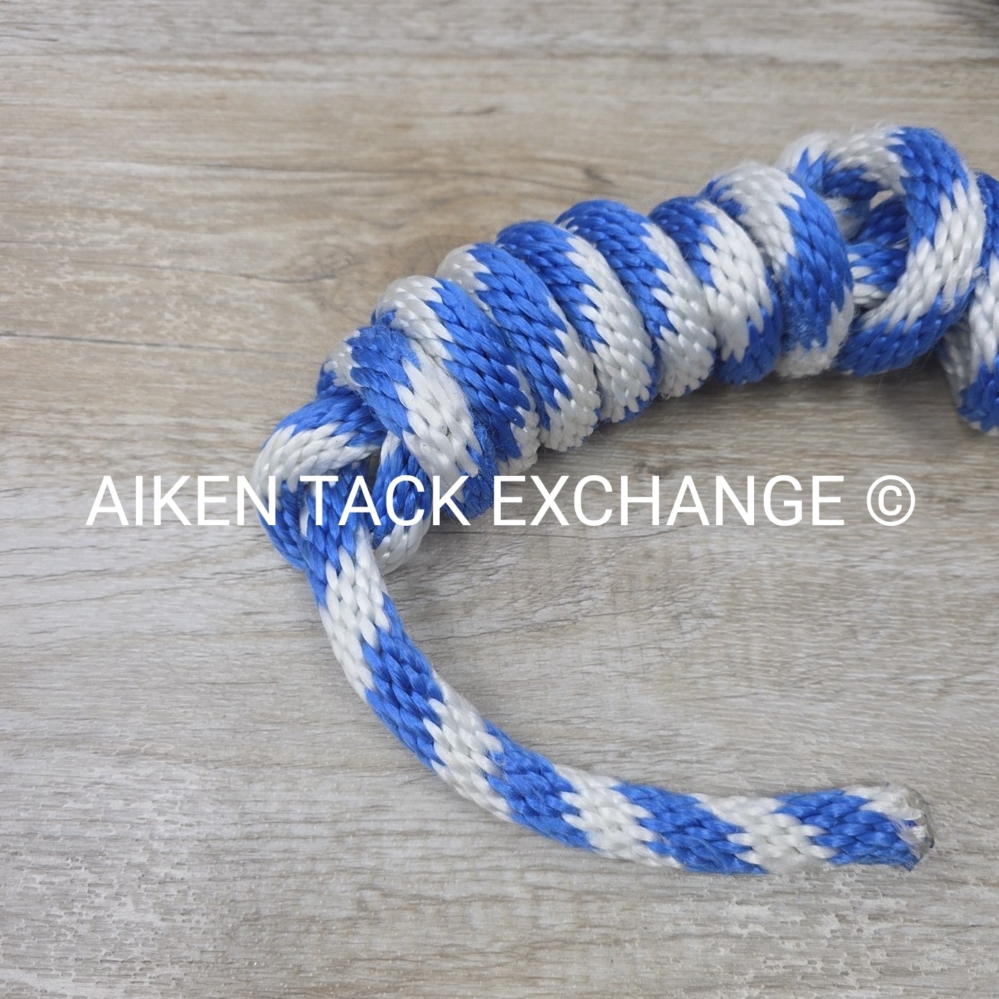 BARGAIN BUNDLE: Nylon Halter, Large, Nylon Halter Missing Crown, Full & Lead Rop