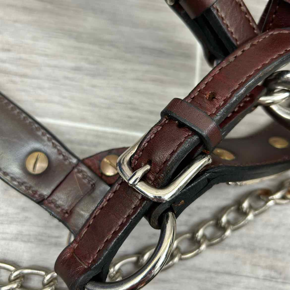 Kathy's Show Equipment #250 Santana Halter with Matching Leather Show Lead