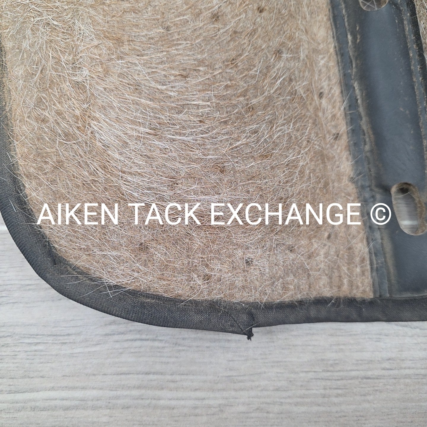 Tucker by Cavallo Saddle Pad